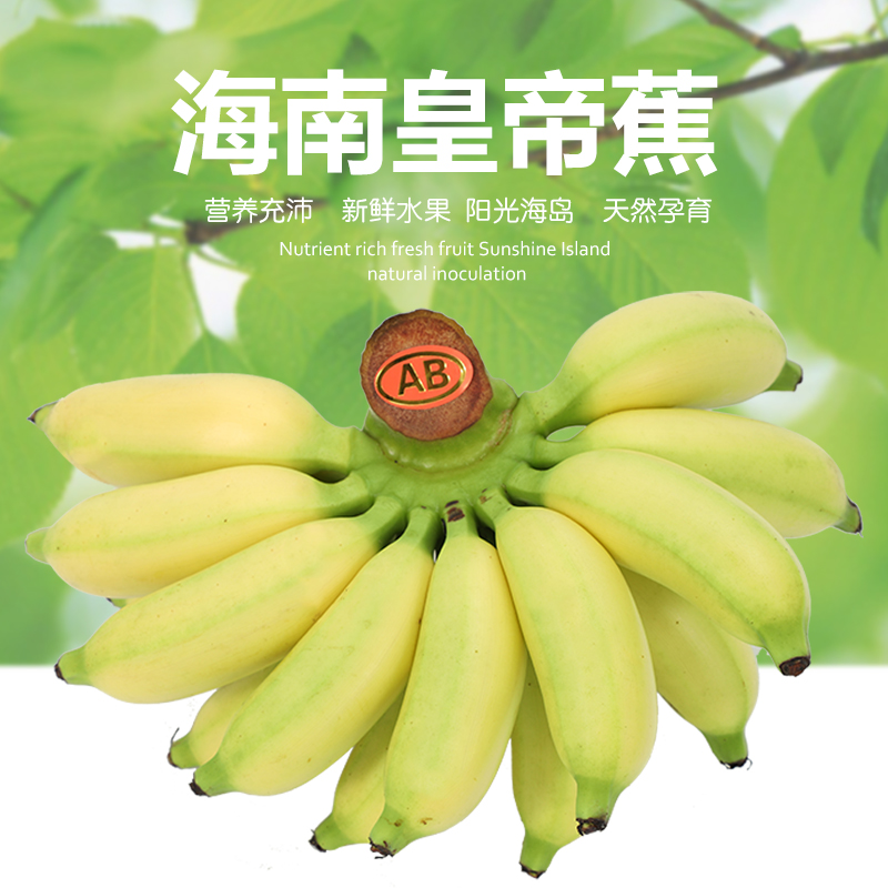 海南皇帝蕉4斤新鲜孕妇时令热带水果小米蕉香蕉小芭蕉巴焦banana