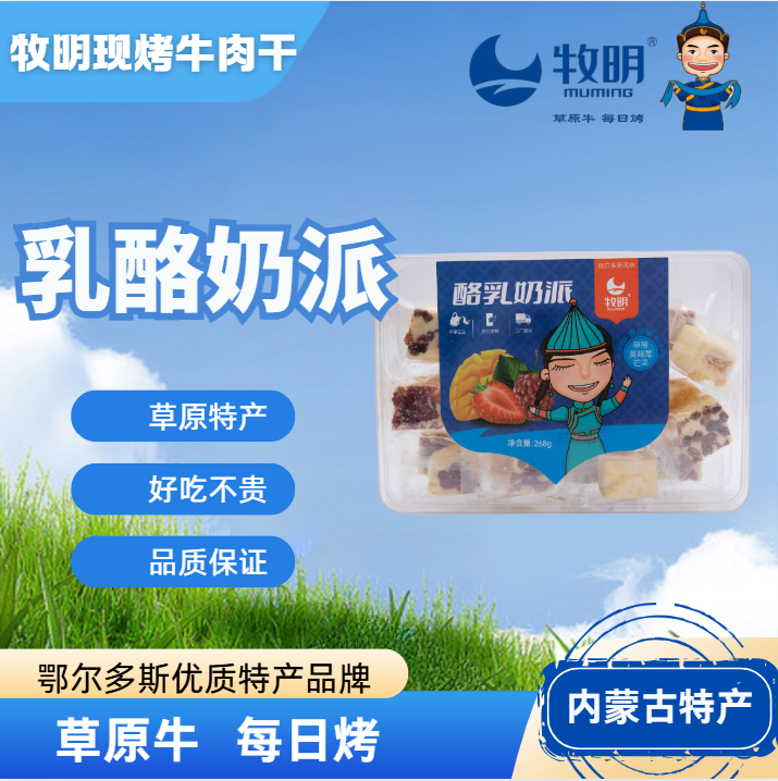 内蒙特产草莓蔓越莓芒果口味酪乳奶派混装奶制品零食健康牧民食品