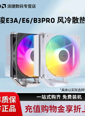 雅浚X600/E6/B3pro散热器CPU台式电脑单塔双塔风冷ARGB雅浚风扇