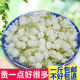 包邮 茉莉花茶2020特级花苞茶叶孕妇顺产茉莉花干花朵泡茶散装 500g