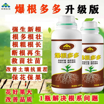 年辉爆根多多升级版含腐殖酸水溶肥强生新根调节土壤再生根营养液