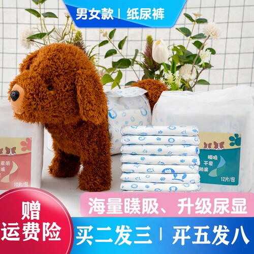 狗狗专用尿不湿纸尿裤泰迪姨妈巾