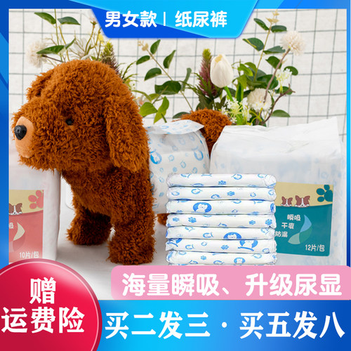 狗狗专用尿不湿纸尿裤泰迪姨妈巾