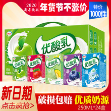 伊利优酸乳整箱24盒包邮果粒蓝莓1