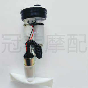 适用比亚乔维斯帕vespa 300 6日冲刺GTS GTV汽油泵燃油泵 150