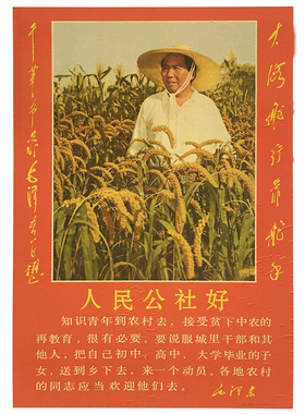 对联文革画像毛主席海报