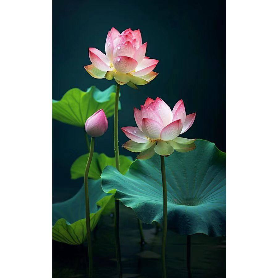 厨房荷花净秽鲤鱼卫生间聚财装饰画厕所镇宅九鱼莲花贴画防水粘贴,家居饰品,其他装饰画,淘宝优惠券,粉丝福利购,淘宝优惠卷