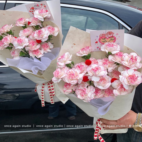 小天使康乃馨20支  云南直发一单中通两单升级快递