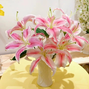 多头马龙香水百合5支 仙气飘飘的百合 （发货后不支持退款）