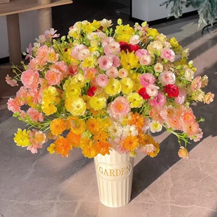 20%不售后 蝴蝶洋牡丹 花期长 富贵花 超级好看