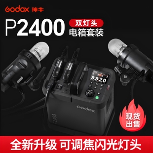 人像外景拍摄锂电电箱 专业级户外摄影灯2400W大功率闪光灯 神牛P2400双灯头电箱套装 外拍闪光灯 官方正品