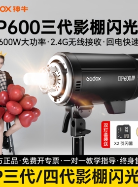 神牛DP600III三代/四代闪光灯600w专业摄影灯室内人像证件照广告拍摄补光灯 摄影棚静物拍照800W/1000W影室灯