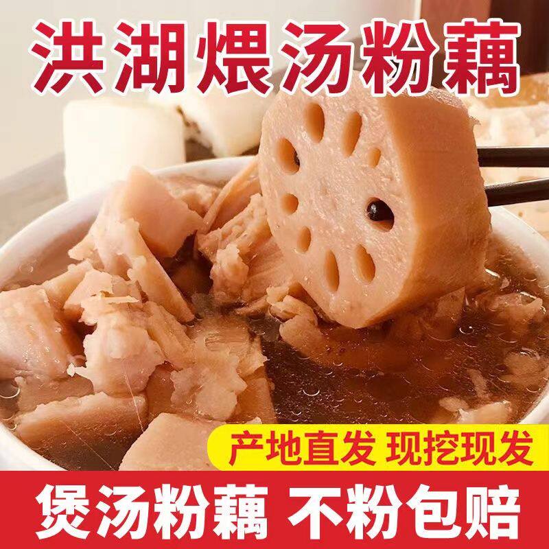 【2026粉藕】湖北洪湖粉藕新鲜莲藕九孔糯米藕煲汤粉藕现挖莲藕