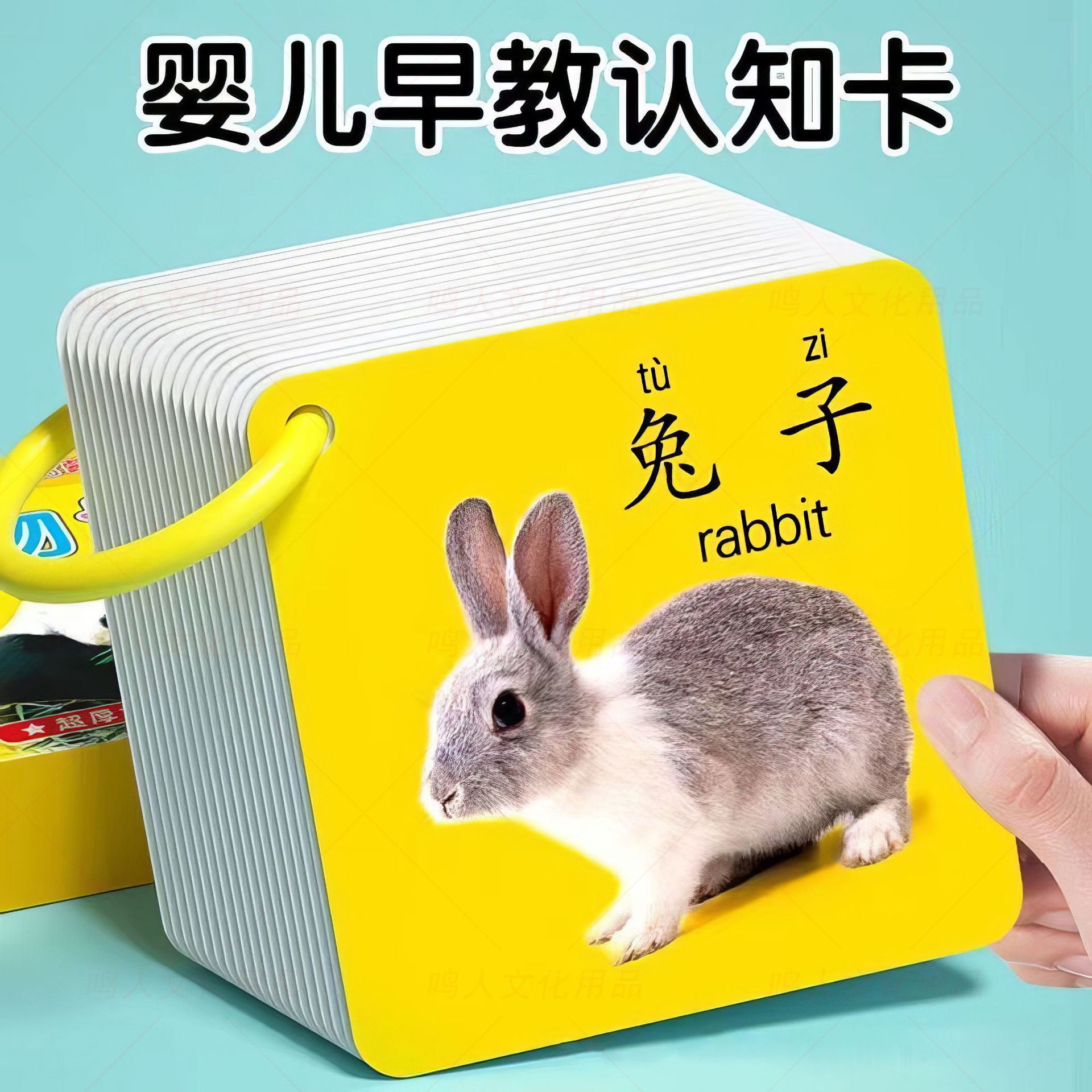 动物卡片早教认知启蒙书儿童识字宝宝看图识物图幼儿数字益智玩具