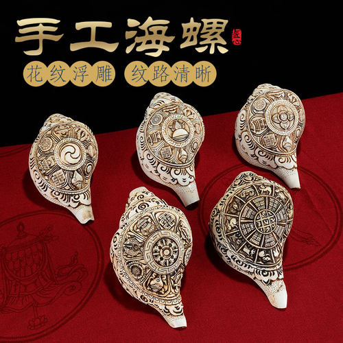 欧斯特海螺手工浮雕纹理自然