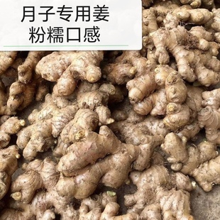廉江农家有机肥糯米姜粉糯无渣猪脚醋姜月子姜粉姜米姜小黄姜老姜