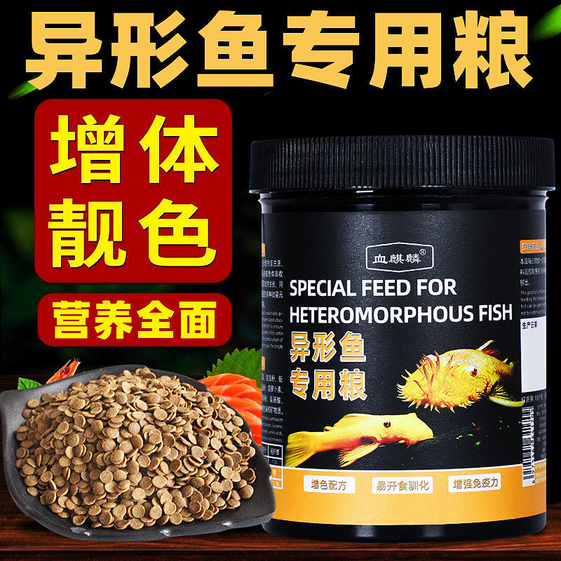 异形鱼饲料清道夫底栖鱼大帆胡子鱼熊猫异形黄金达摩下沉型鱼食