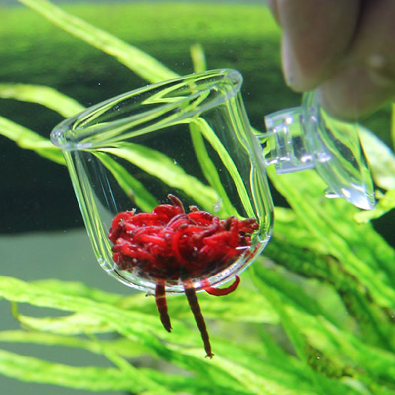 鱼缸热带鱼活食投食圈透明玻璃红虫喂食杯冻丰年虾赤虫活饵投喂器