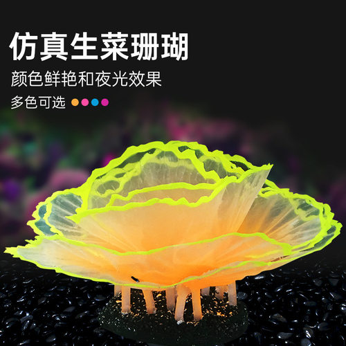 跨境珊瑚鱼缸造景套装水族箱内装饰树脂珊瑚海星海底景观布景摆件