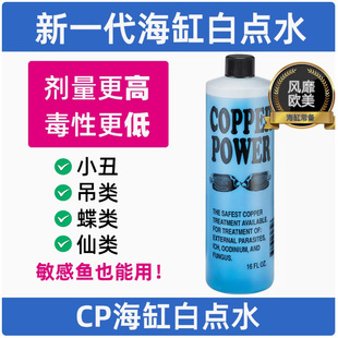 美国CP海缸白点水白点净鲽鱼 仙鱼 吊类海水观赏鱼白点病检疫隔离