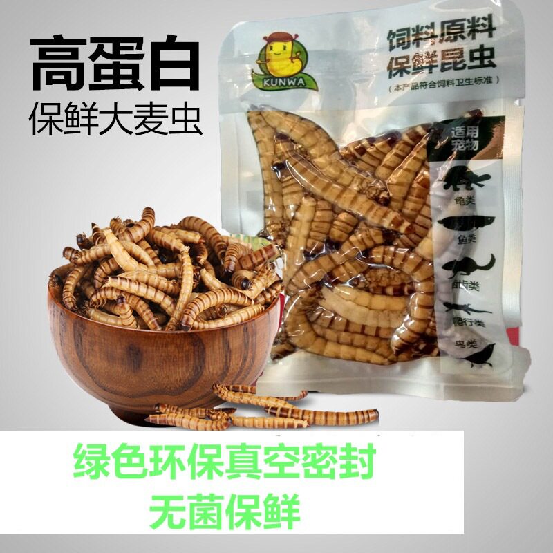 观赏鱼营养昆虫蝎子饲料大麦虫黄粉虫蜈蚣蟋蟀蟑螂鱼鸟龟宠物食物