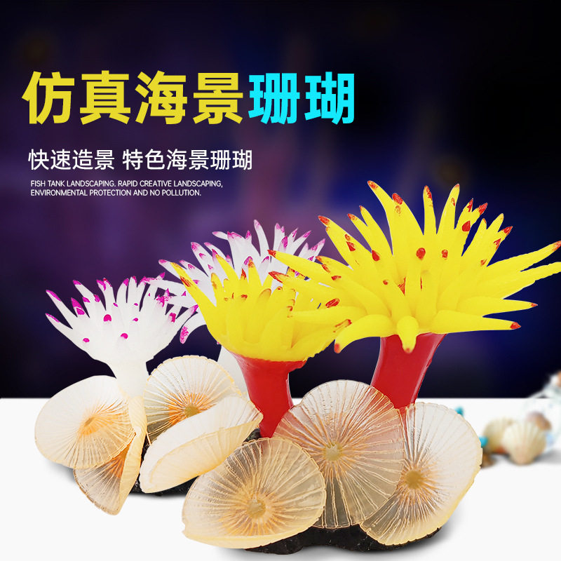 鱼缸造景鱼缸造景海底软体珊瑚