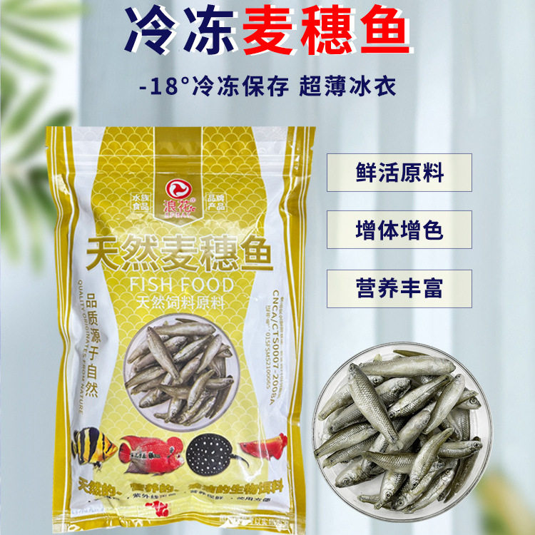 浪花新鲜散冻麦穗鱼中大型鱼粮龙鱼魟鱼虎鱼乌龟小杂鱼柳条鱼饲料