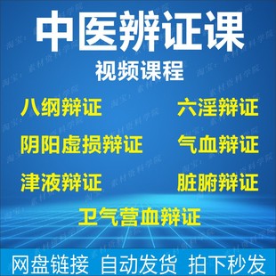 中医辨证课程八纲六淫阴阳虚损气血辩证津液脏腑卫气营血辨证