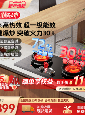 红日红外线燃气灶家用双灶天然气灶独立定时72%热效率爆炒灶EM29F