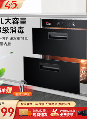 红日消毒柜消毒碗柜家用大容量臭氧红外100L嵌入式特价二星级DF1