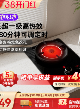 红日红外线燃气灶天然气液化气灶家用单灶定时免改孔煤气灶EX03B