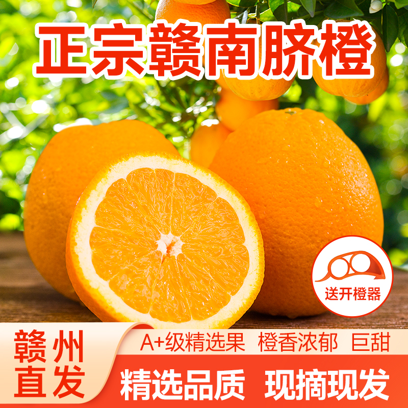 赣南脐橙新鲜当季孕妇水果10斤