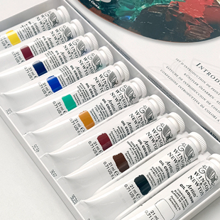 进口温莎牛顿艺术家油画颜料套装21ml*10色便携写生专家油彩礼盒