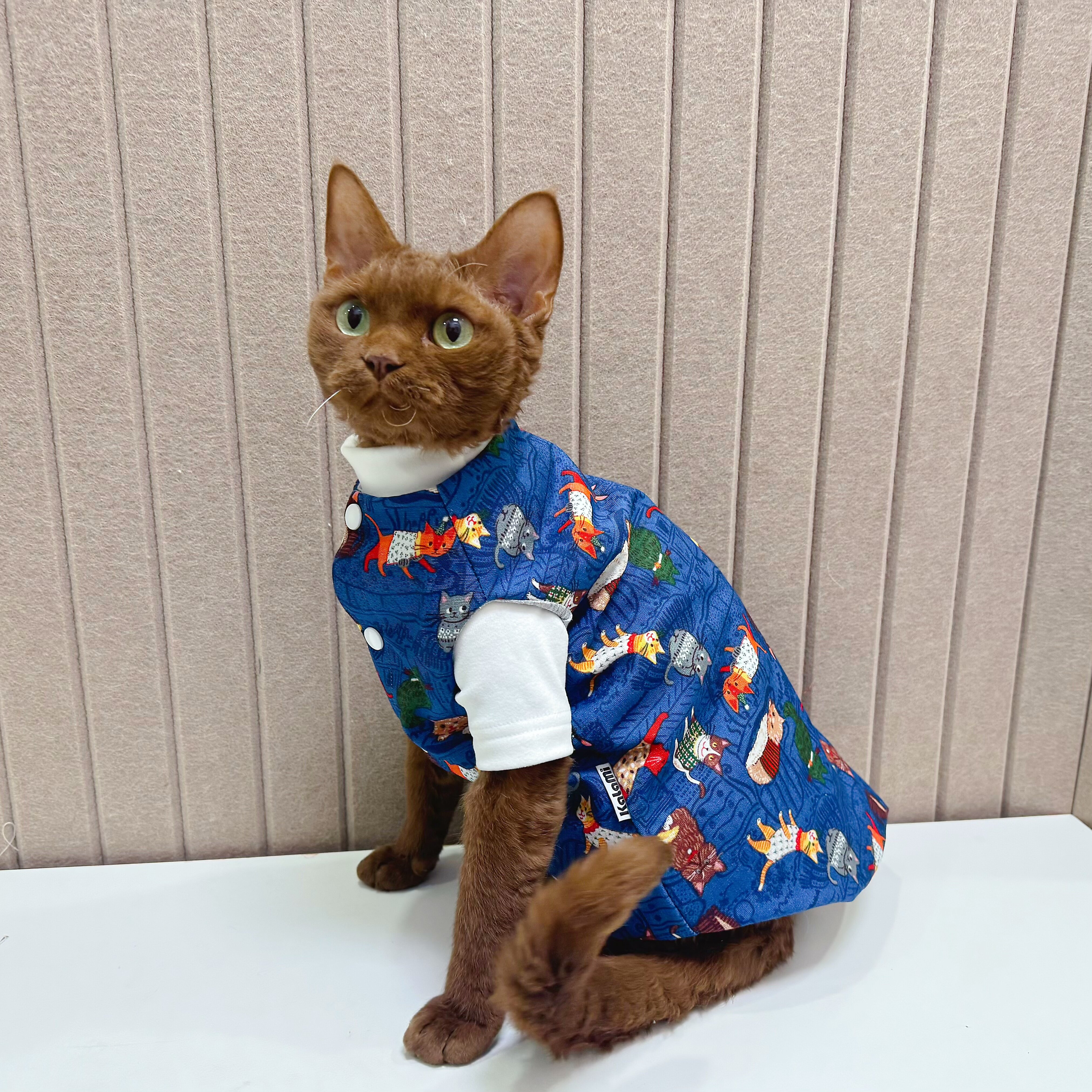 纯棉马甲史芬克斯无毛猫德文猫衣服卡通小猫亚麻耐舔两件德绒打底