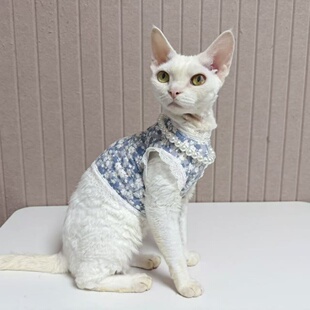 咔啦咪德文猫衣服无毛猫夏季碎花半身柔软花边纯棉背心珍珠项链