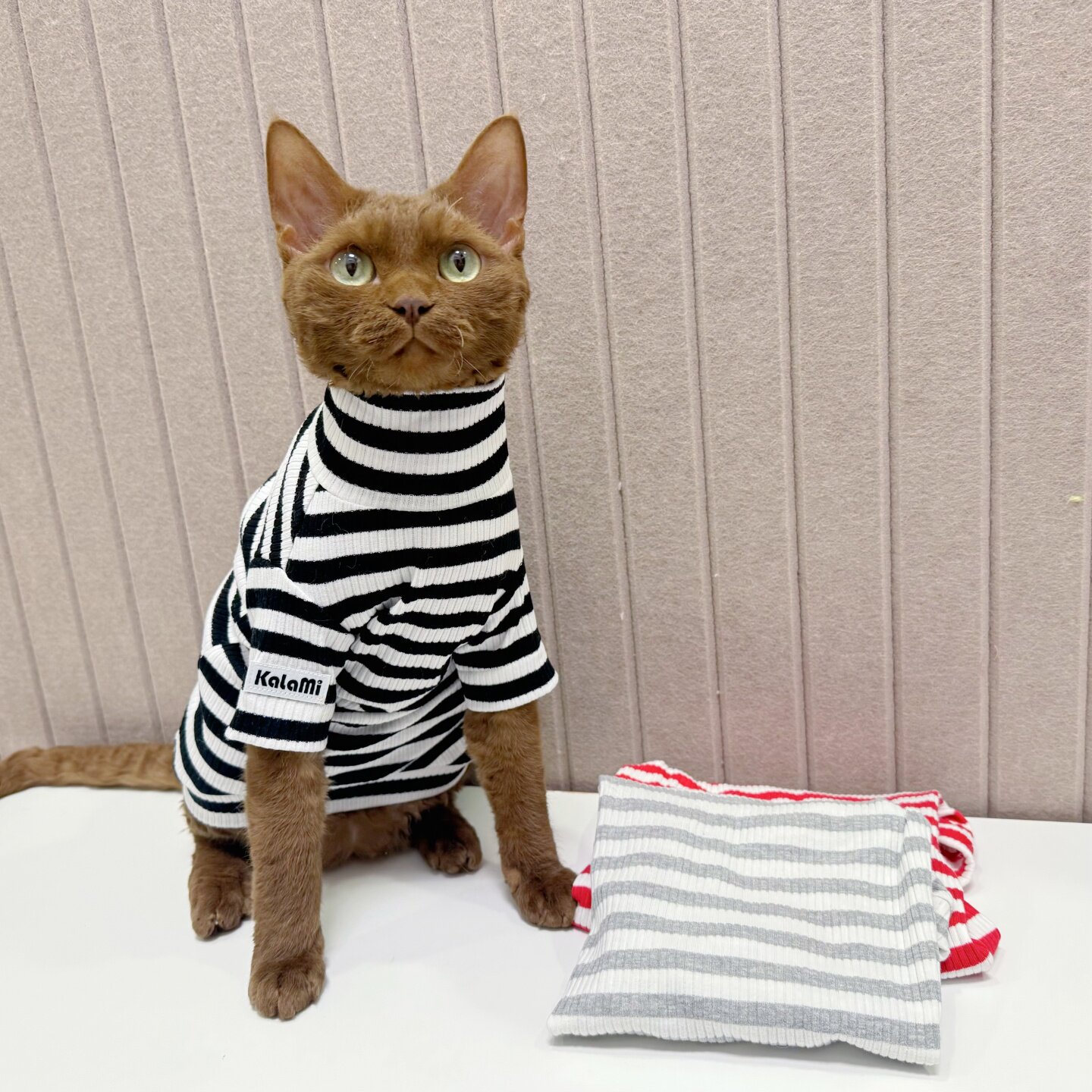 史芬克斯无毛猫德文猫条纹薄款纯棉高领打底防掉毛透气护脖春夏薄