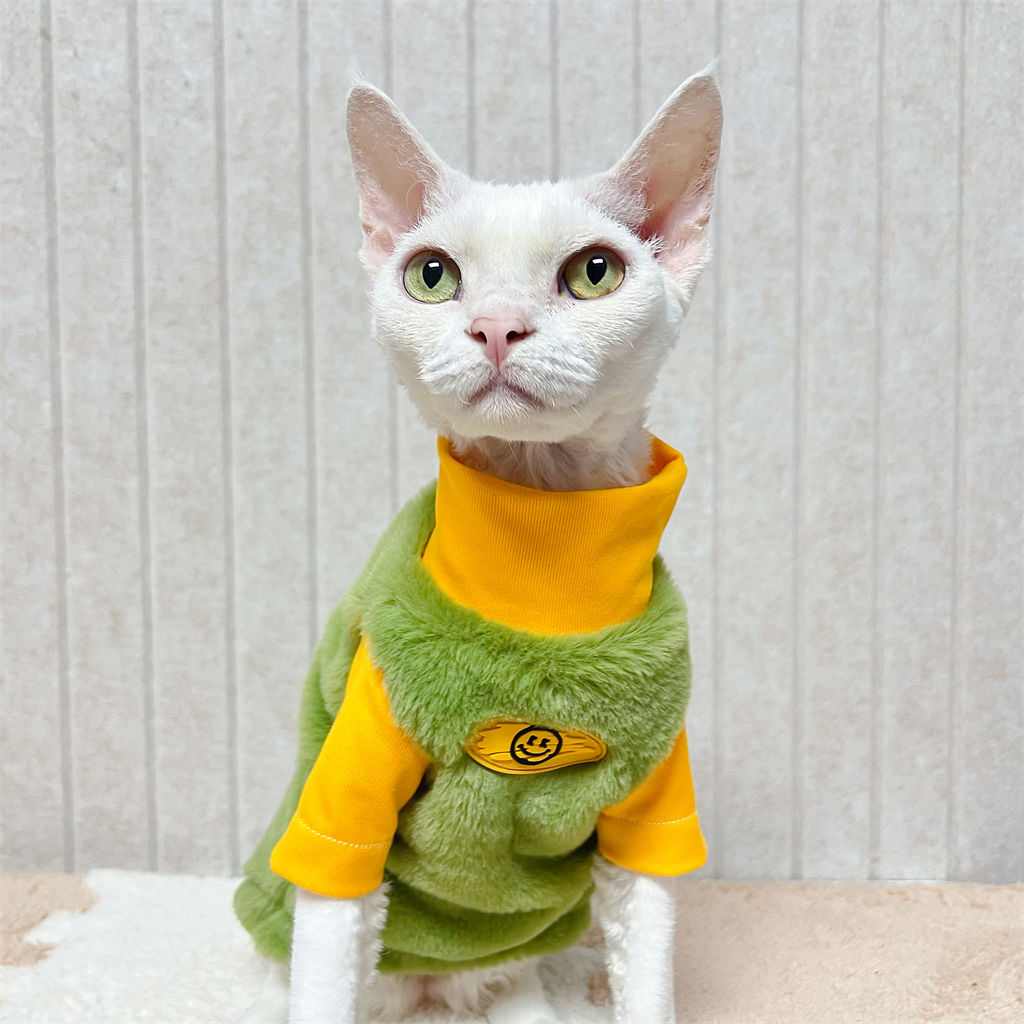 秋冬高领兔毛加厚绒毛无毛猫德文猫衣服宠物撞色绿色弹力纯棉打底