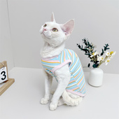 斯芬克斯无毛猫德文猫衣服纯棉弹力背心全棉防过敏柔软舒适矮脚