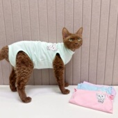 春夏德文猫衣服薄款 弹力纯棉四脚护肚全包绝育服柔软无毛猫衣服