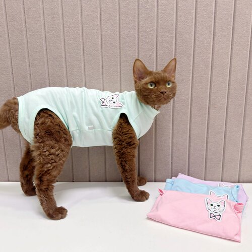 春夏薄款纯棉四脚护肚绝育猫服