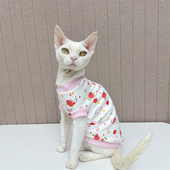 咔啦咪德文猫斯芬克斯无毛猫宠物东短细长可爱纯棉夏季 打底背心