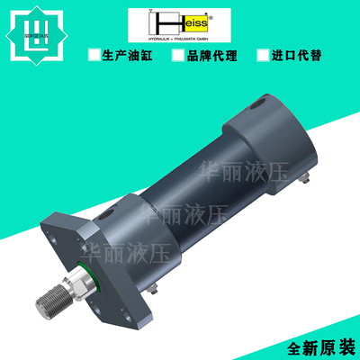 油缸液压缸德国HEISSSZ250-25