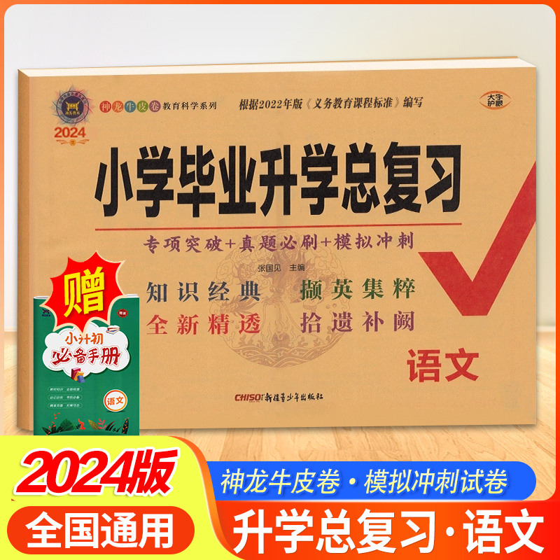 2024版小学毕业升学总复习语文试卷部编人教版 湖南名校招生真题卷小学升初中小考分班历年真卷六年级上册下册神龙牛皮卷长沙