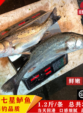狂野鲜生鲈鱼包邮纯野生鲜嫩
