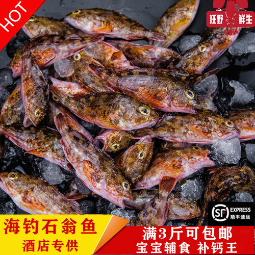 海鲜鱼鲜活现捕补钙新鲜