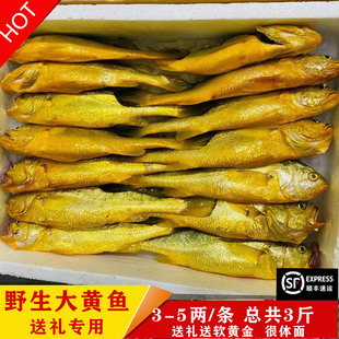 送礼专用东海正宗野生大黄鱼天然黄花鱼软黄金国鱼礼盒套餐3斤装