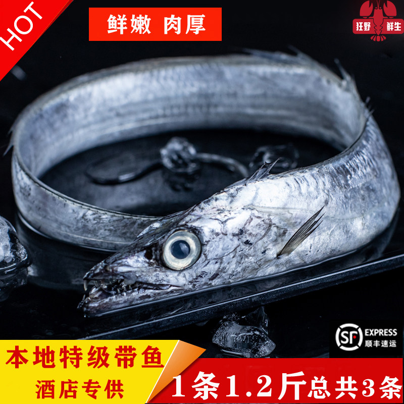 新鲜海捕霞浦本地特级野生带鱼小眼睛刀鱼东海白带鱼冰鲜油带鱼嫩