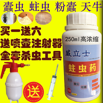 实木家具木地板蛀虫木头粉蠧天牛