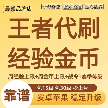 【低价】王者荣耀代练打刷等级周经验金币战令赛季任务成就熟练度