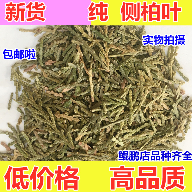 侧柏叶中药材 侧柏叶洗发包泡酒生发 侧柏叶粉另售何首乌桑叶苦丁